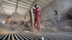 How ARISE II is Strengthening Africa’s Food Security Through Academic Exchange