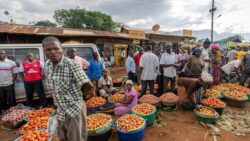Why Cross-Border Research Collaboration is Key to Africa’s Development?