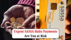 12,000 SASSA Grants Suspended: Urgent Action Required for Beneficiaries